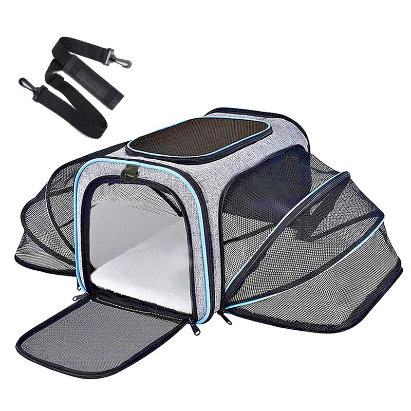 Portable Breathable Foldable P - Foldable Backpack Small review and price