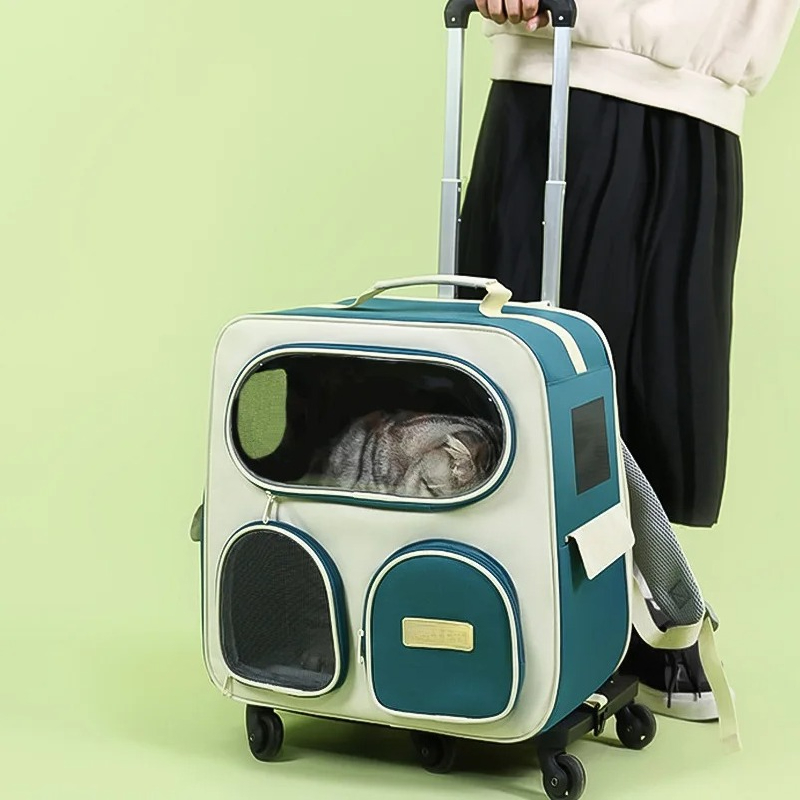 Portable 11.5 Kg Cat Carrier B - Foldable Backpack Small review and price